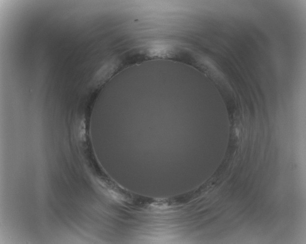 X0000066970502200603241214