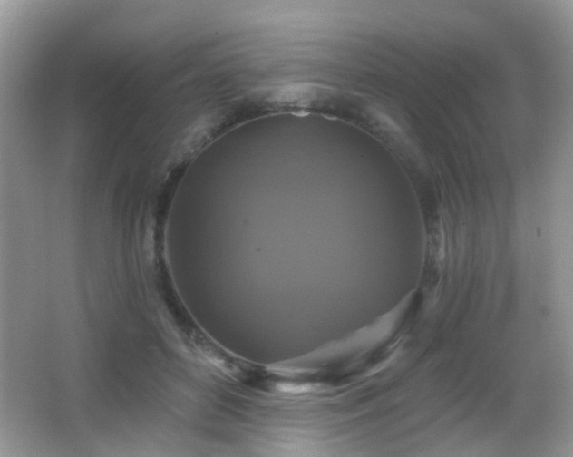 X0000066970504200603241214