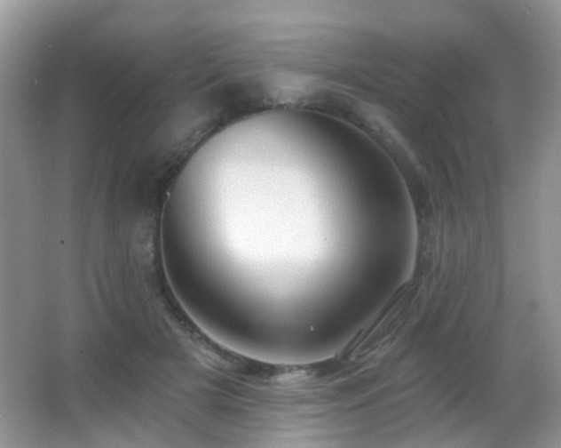 X0000066970505200603241214