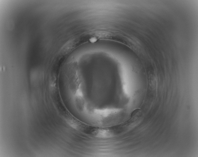 X0000066970507200603241214