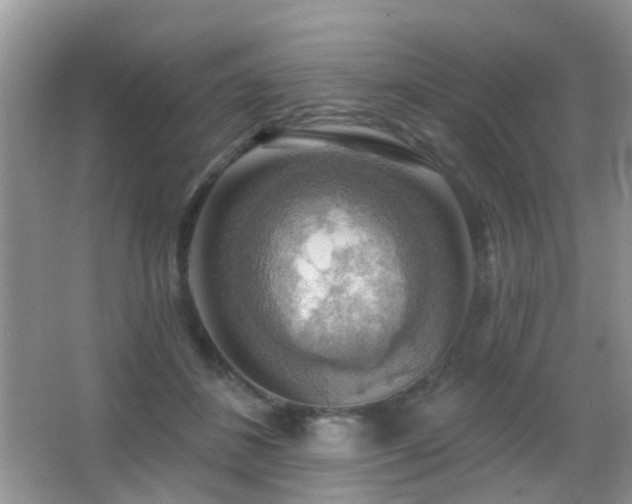 X0000066970508200603241214