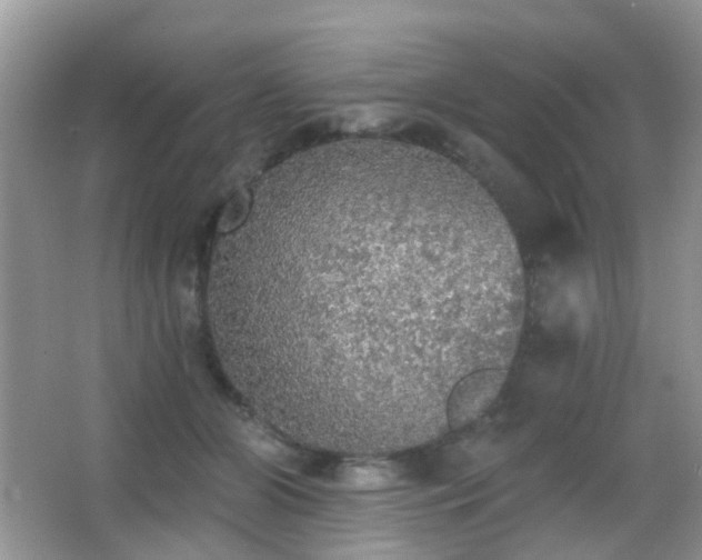 X0000066970510200603241214