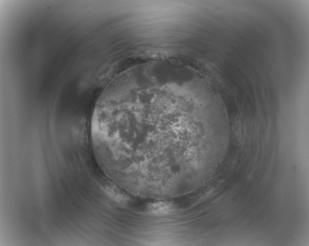 X0000066970511200603241214