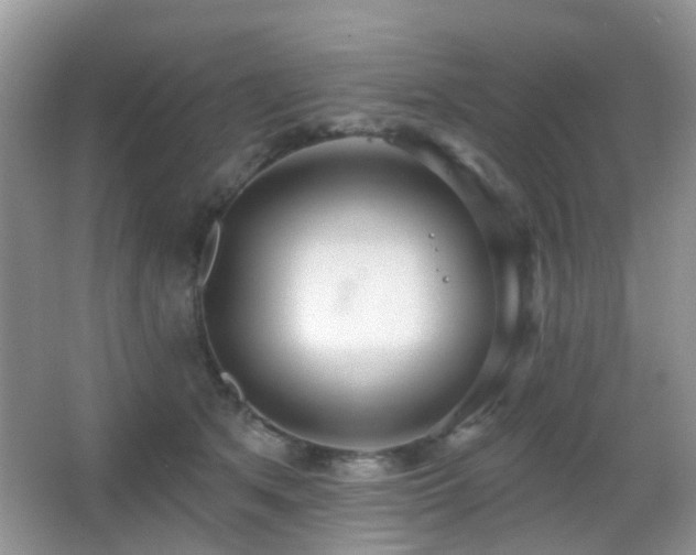 X0000066970513200603241214