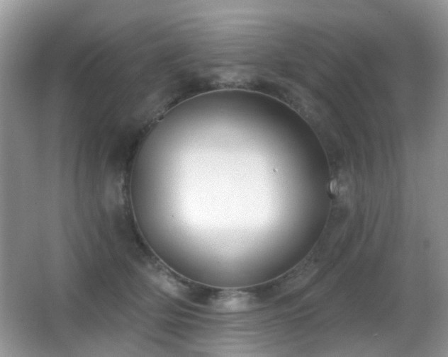 X0000066970514200603241214