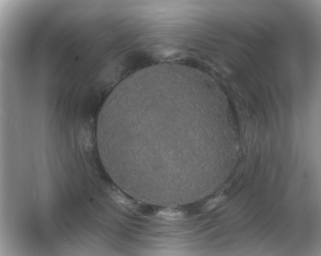 X0000066970515200603241214