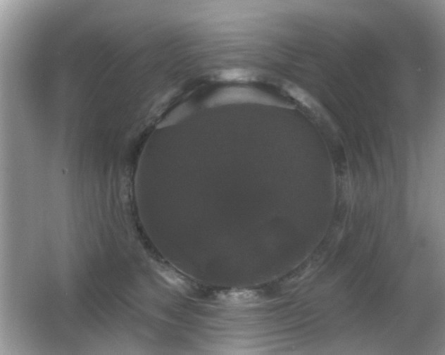 X0000066970517200603241214