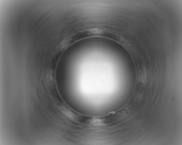 X0000066970518200603241214