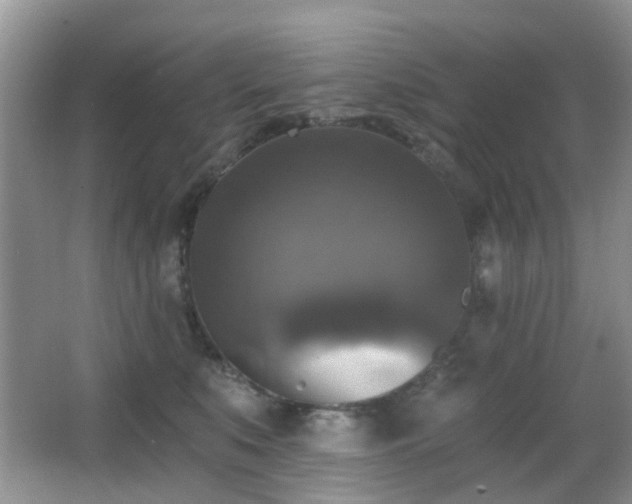 X0000066970519200603241214