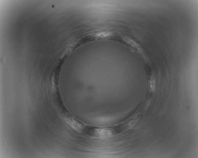 X0000066970520200603241214