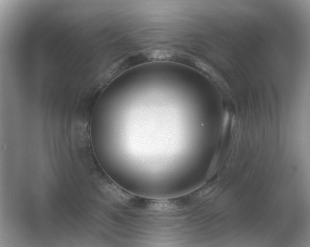 X0000066970521200603241214