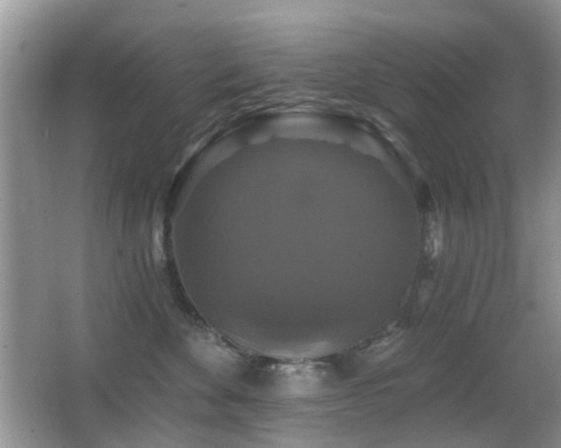 X0000066970524200603241214