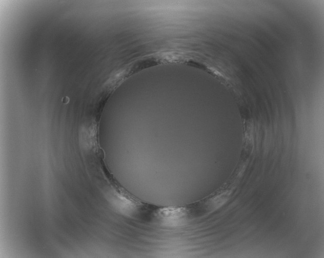 X0000066970526200603241214