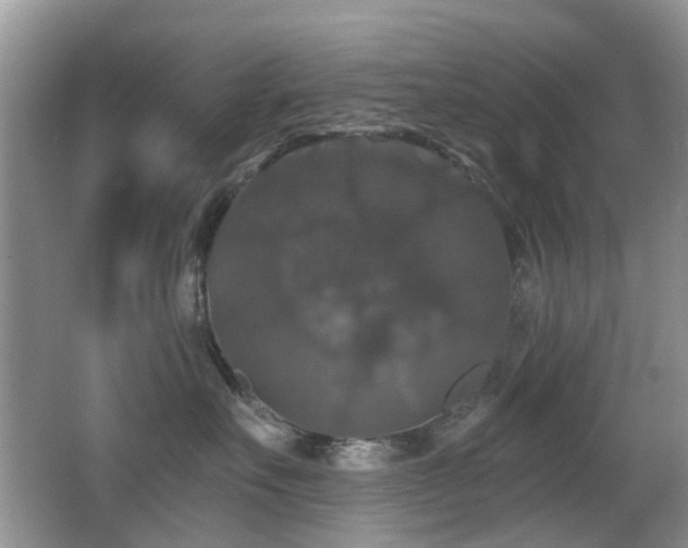 X0000066970527200603241214