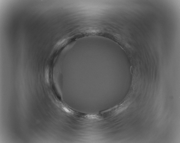 X0000066970528200603241214