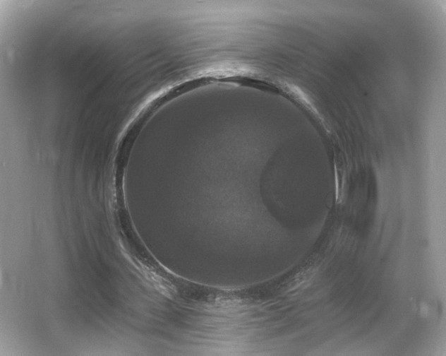 X0000066970531200603241213