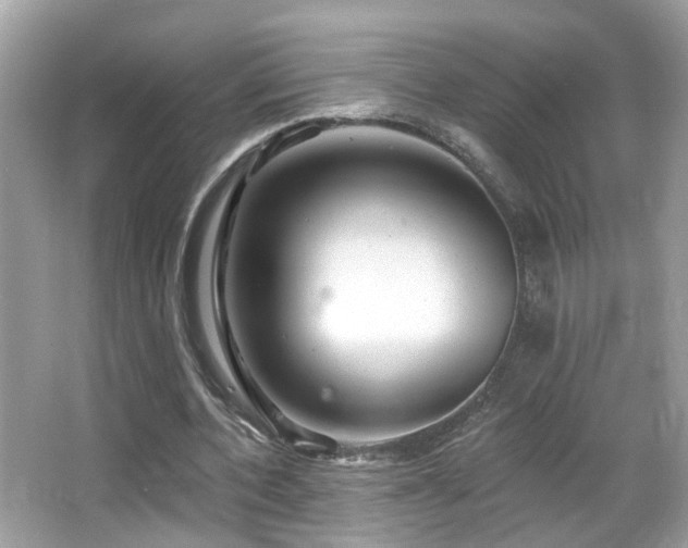 X0000066970532200603241213