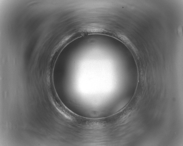 X0000066970533200603241213