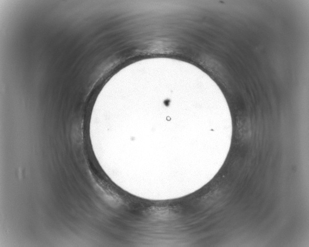 X0000066970534200603241213