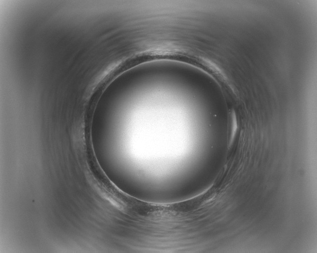 X0000066970535200603241213