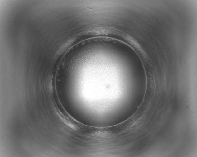 X0000066970537200603241213