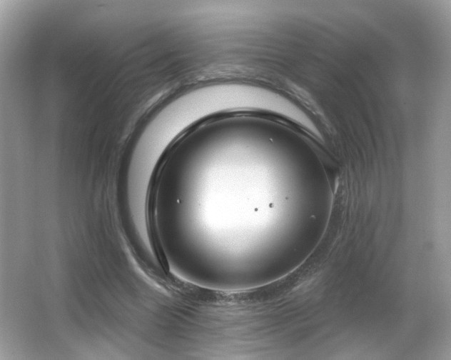 X0000066970538200603241213