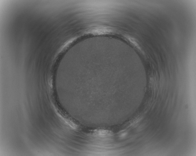 X0000066970539200603241213