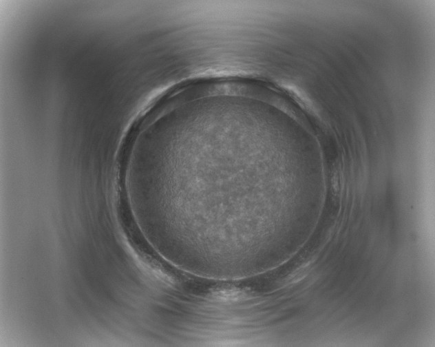 X0000066970540200603241213