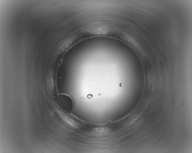 X0000066970541200603241213