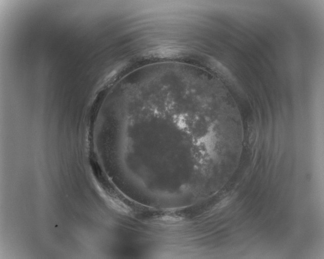 X0000066970542200603241213