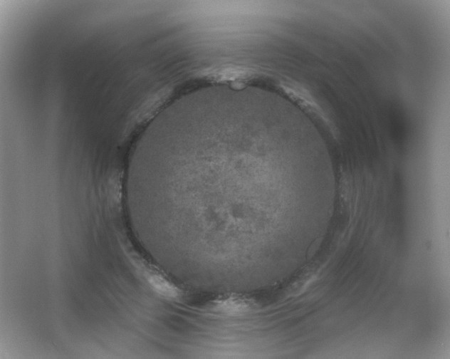 X0000066970545200603241213