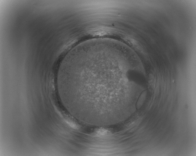 X0000066970547200603241213