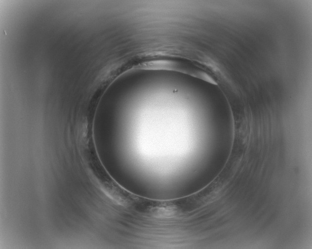 X0000066970548200603241213