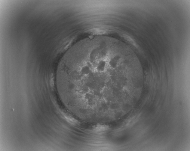 X0000066970549200603241213