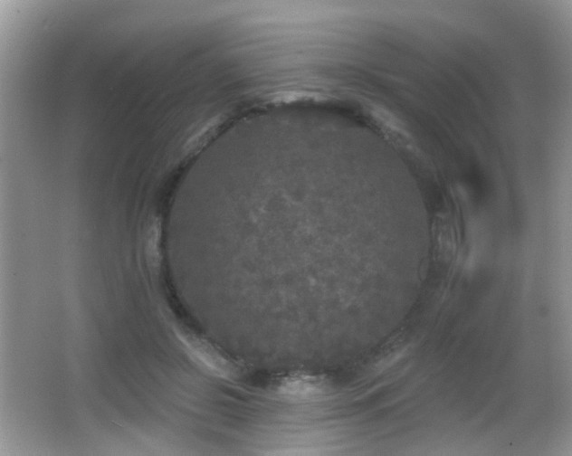 X0000066970550200603241213