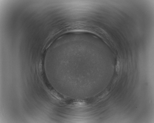 X0000066970552200603241213