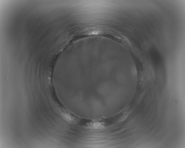 X0000066970553200603241213