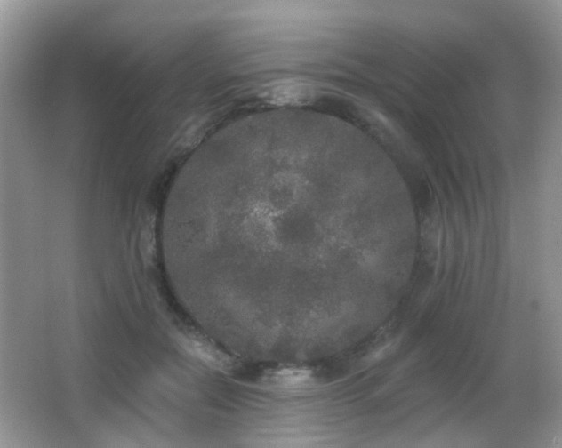 X0000066970554200603241213