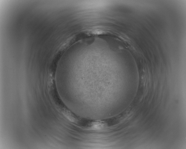 X0000066970555200603241213