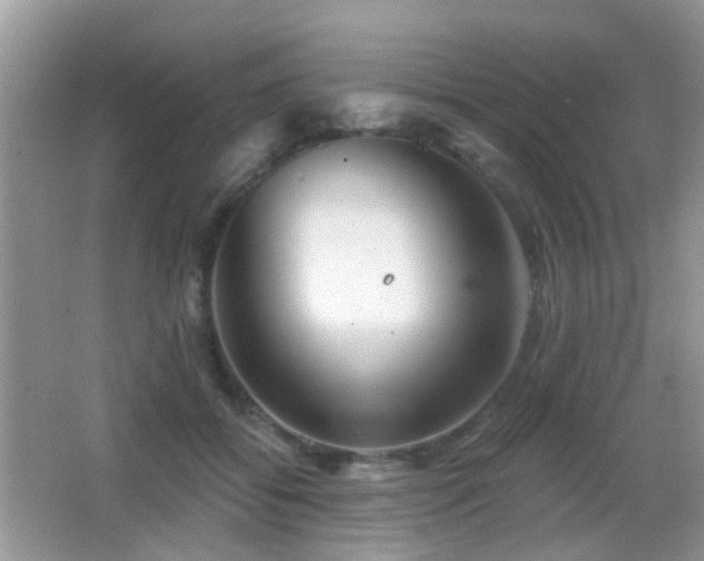 X0000066970556200603241213