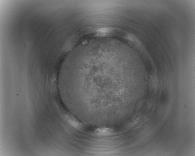 X0000066970557200603241213