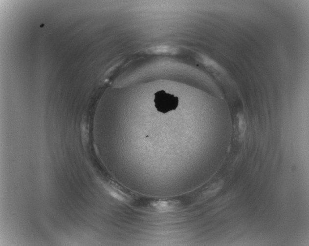 X0000066970558200603241213