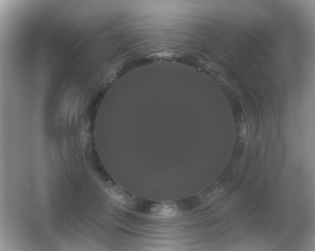 X0000066970559200603241213