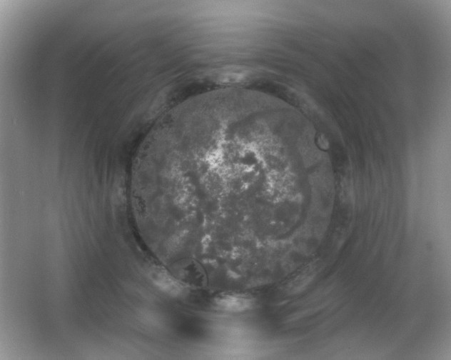 X0000066970561200603241213