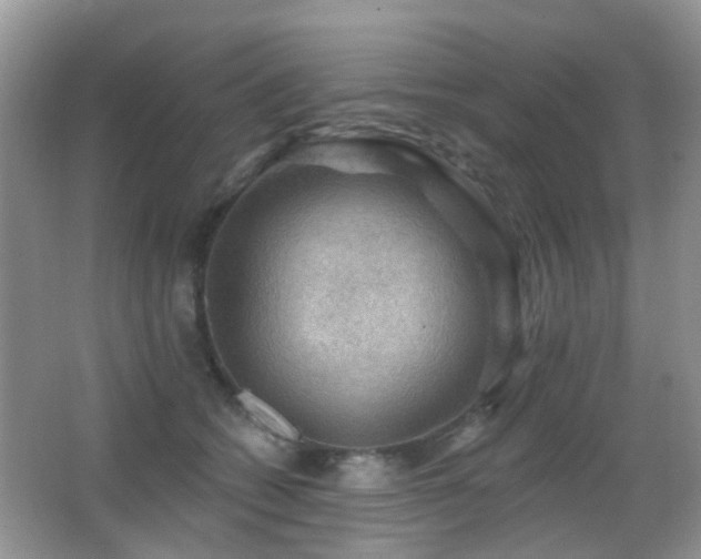 X0000066970562200603241213