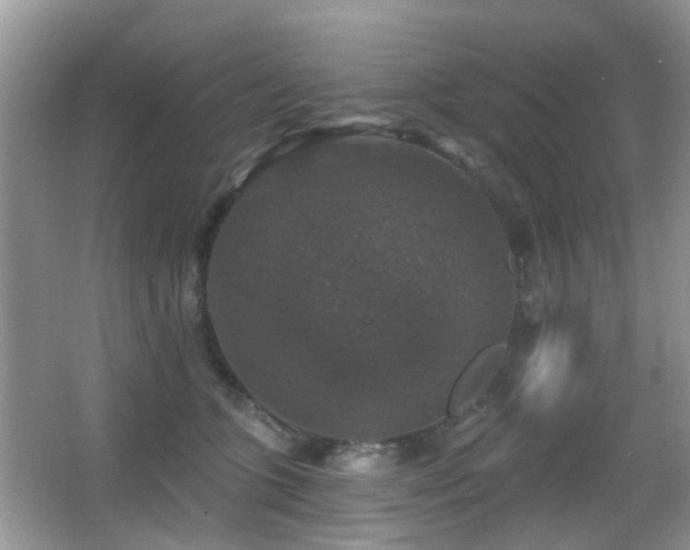 X0000066970563200603241213