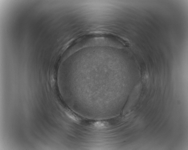 X0000066970566200603241213