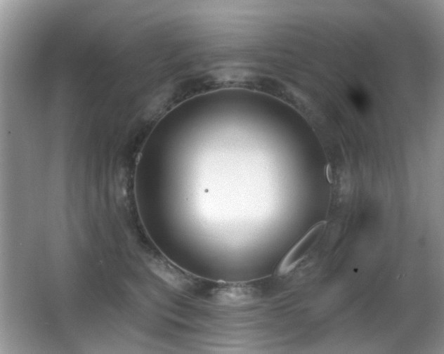 X0000066970567200603241213