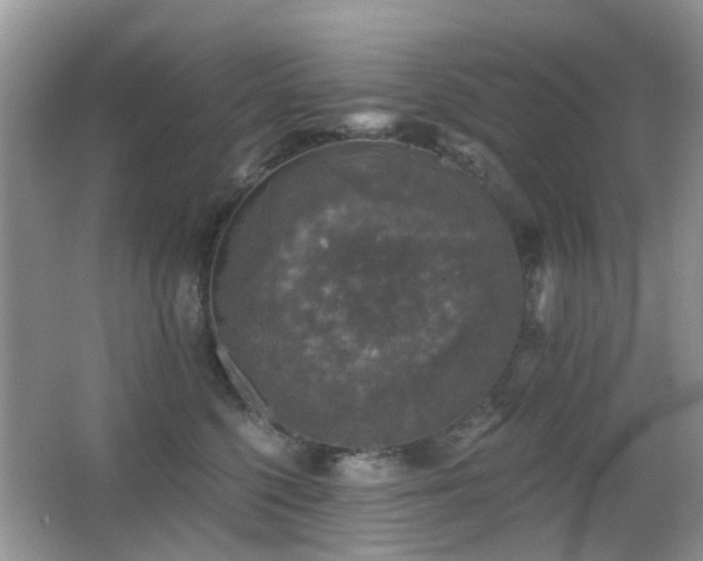 X0000066970568200603241213