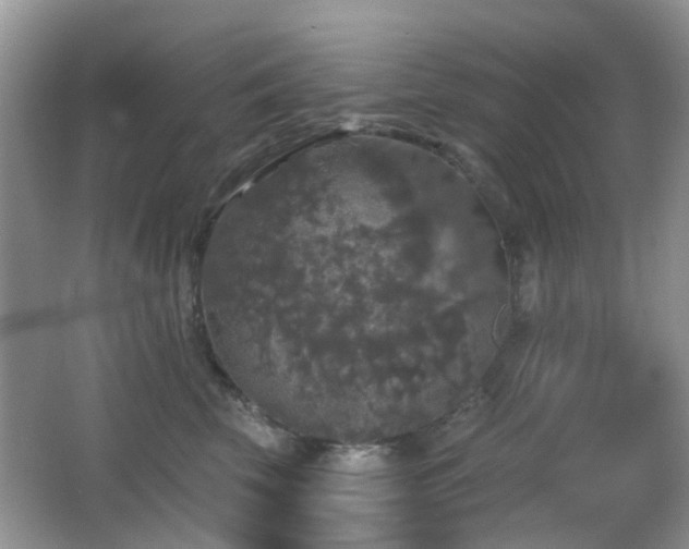 X0000066970569200603241214